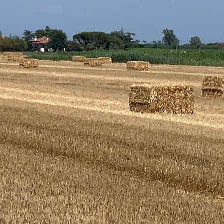 Agriturismo Ca' Alleata Caorle Ngoại thất bức ảnh