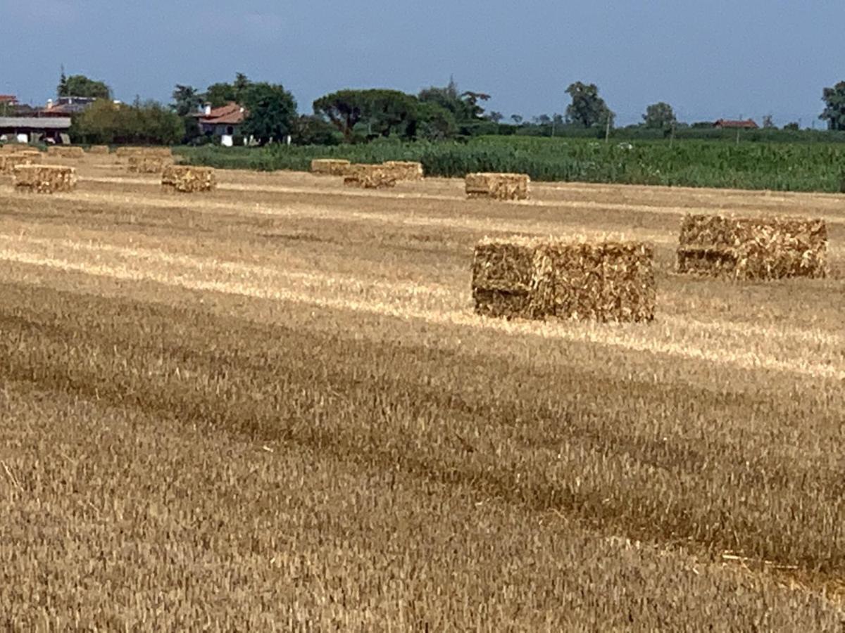 Agriturismo Ca' Alleata Caorle Ngoại thất bức ảnh