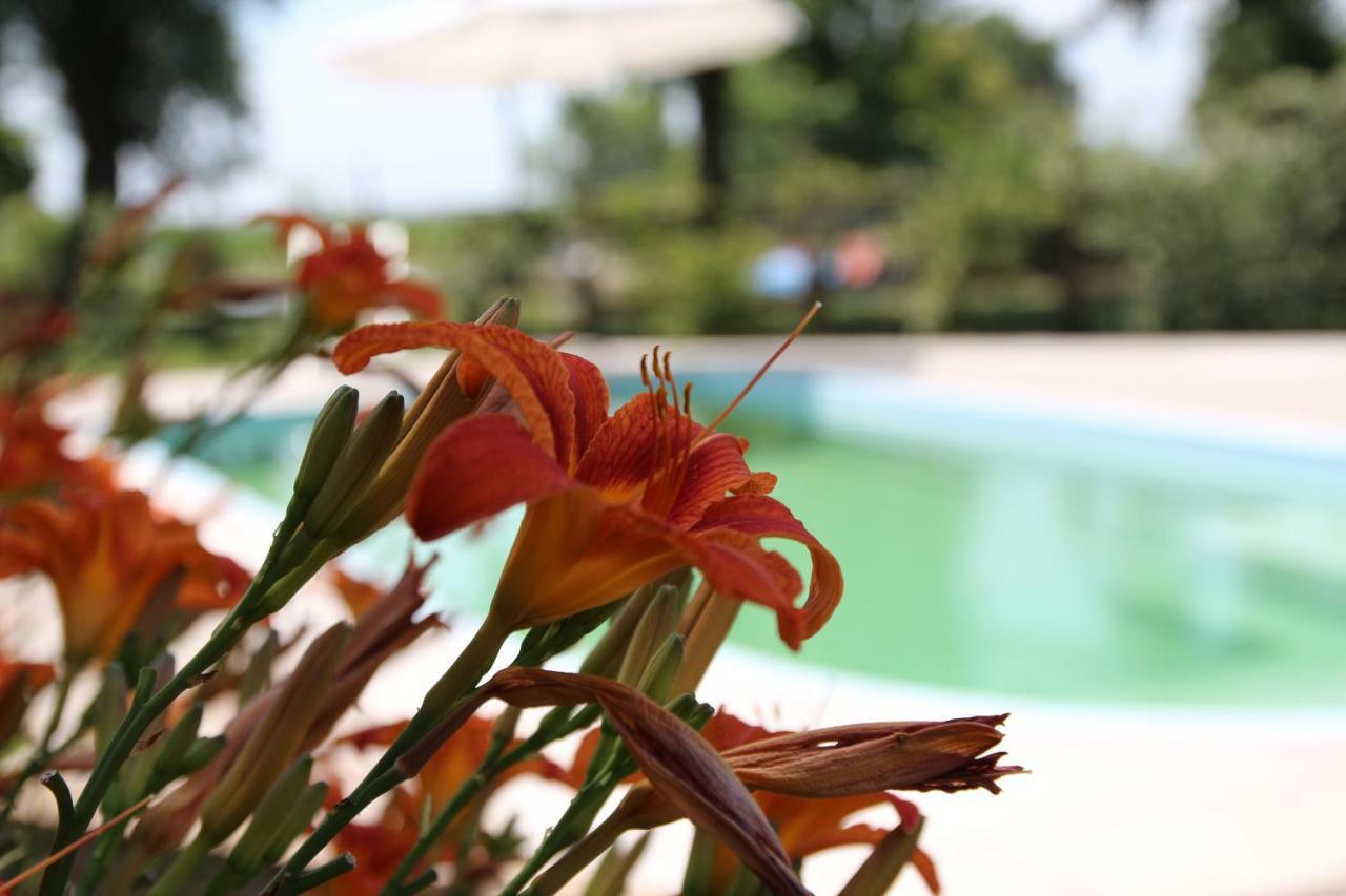 Agriturismo Ca' Alleata Caorle Ngoại thất bức ảnh