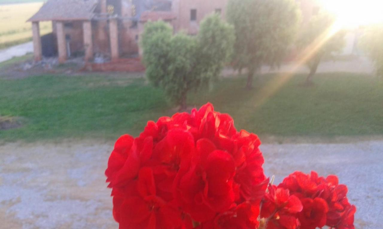 Agriturismo Ca' Alleata Caorle Ngoại thất bức ảnh